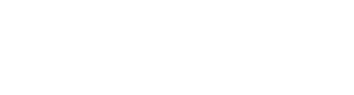 SVNB